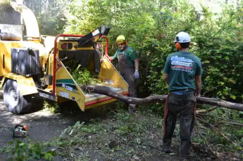 tree services Crossett